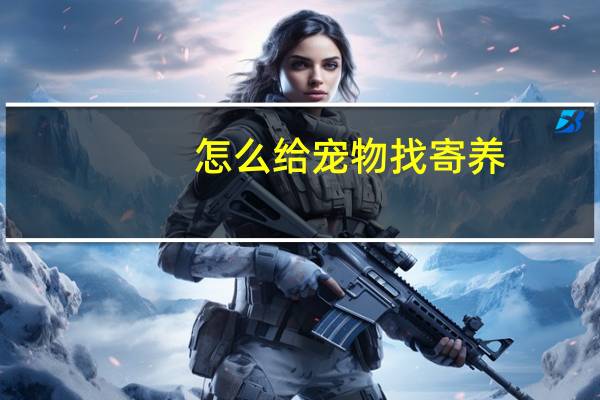 怎么给宠物找寄养
