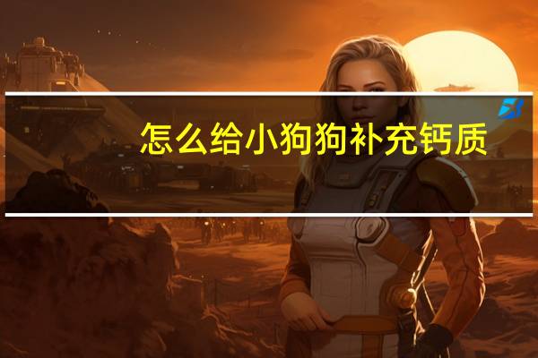 怎么给小狗狗补充钙质