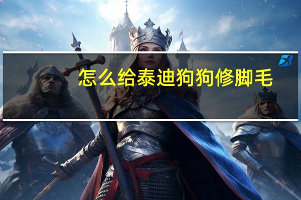 怎么给泰迪狗狗修脚毛