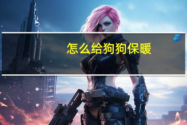 怎么给狗狗保暖