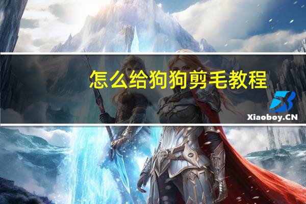 怎么给狗狗剪毛教程