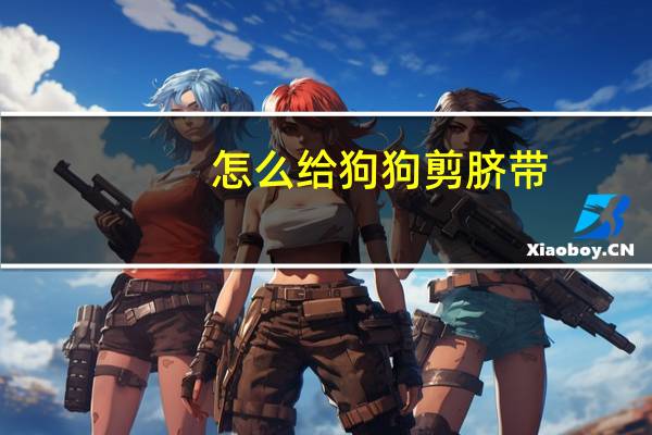 怎么给狗狗剪脐带