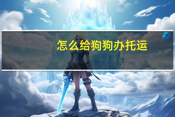 怎么给狗狗办托运