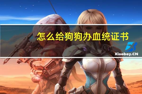 怎么给狗狗办血统证书