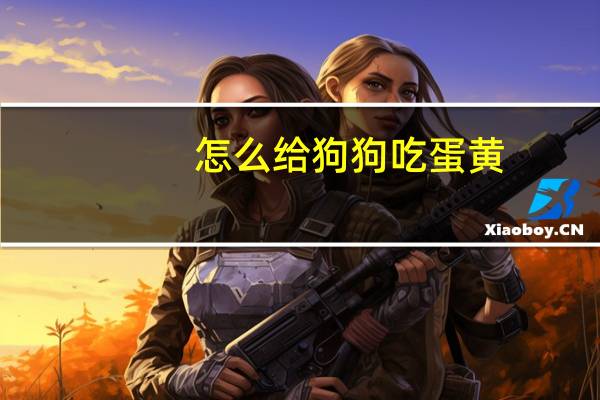 怎么给狗狗吃蛋黄