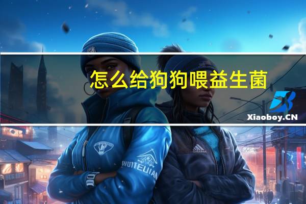 怎么给狗狗喂益生菌