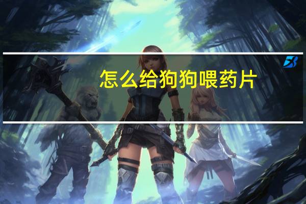 怎么给狗狗喂药片