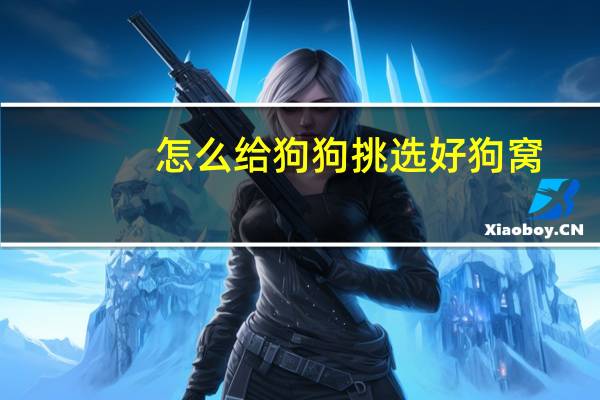 怎么给狗狗挑选好狗窝
