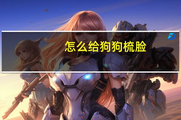 怎么给狗狗梳脸