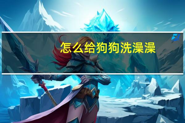 怎么给狗狗洗澡澡