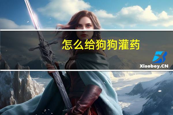 怎么给狗狗灌药