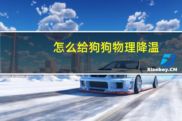 怎么给狗狗物理降温