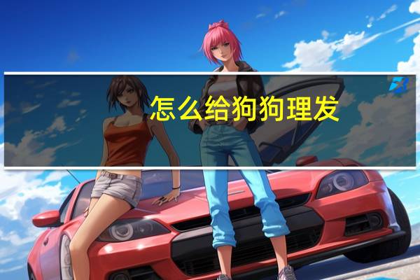 怎么给狗狗理发