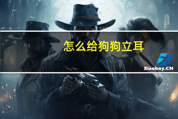 怎么给狗狗立耳