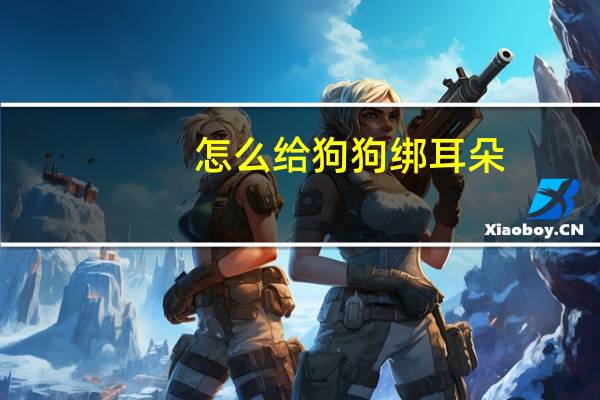 怎么给狗狗绑耳朵