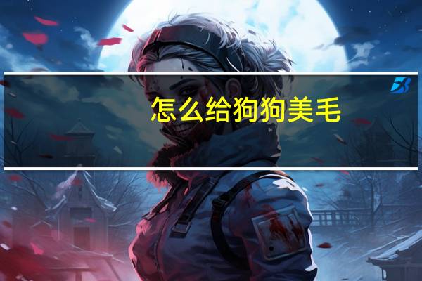 怎么给狗狗美毛