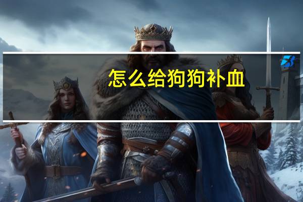 怎么给狗狗补血
