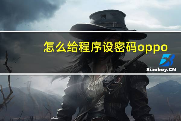 怎么给程序设密码oppo