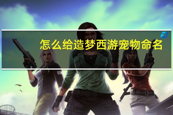 怎么给造梦西游宠物命名