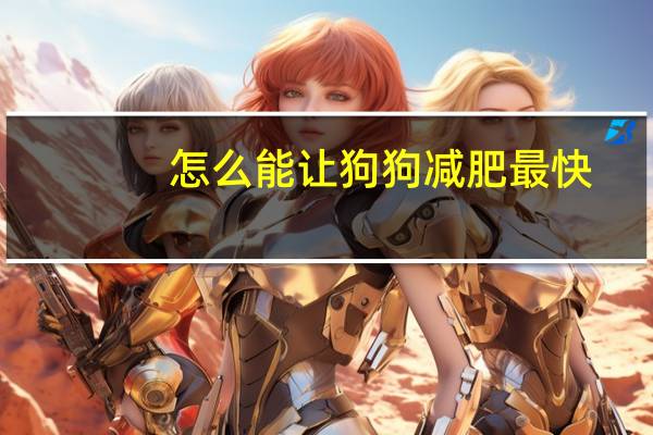 怎么能让狗狗减肥最快