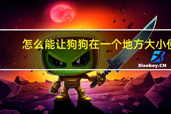怎么能让狗狗在一个地方大小便
