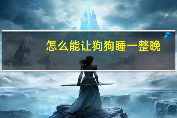 怎么能让狗狗睡一整晚