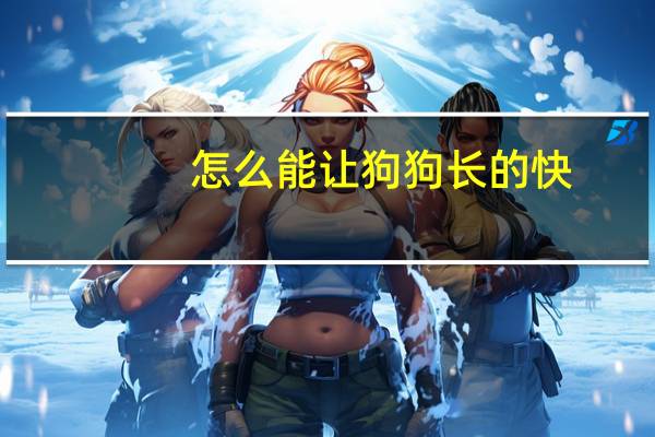 怎么能让狗狗长的快