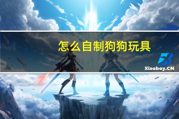 怎么自制狗狗玩具