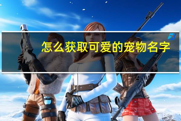 怎么获取可爱的宠物名字
