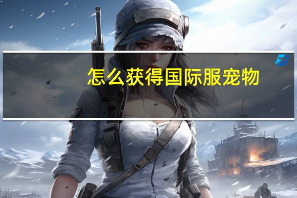 怎么获得国际服宠物