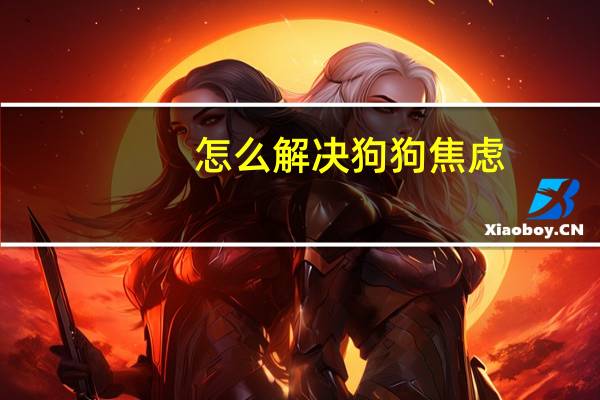 怎么解决狗狗焦虑