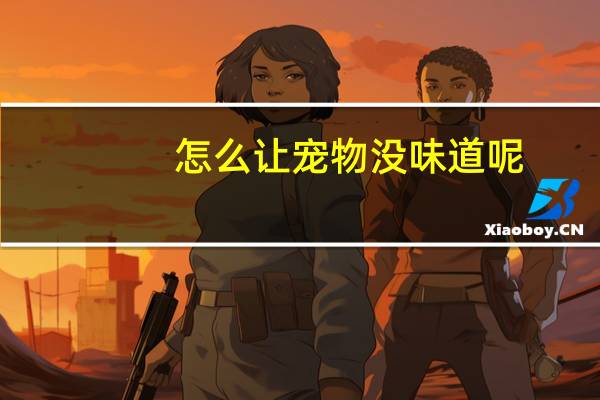 怎么让宠物没味道呢