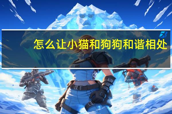 怎么让小猫和狗狗和谐相处