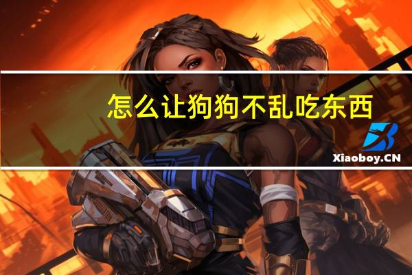 怎么让狗狗不乱吃东西