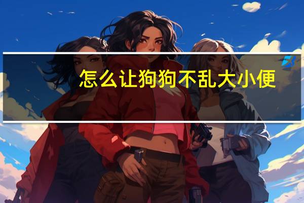 怎么让狗狗不乱大小便