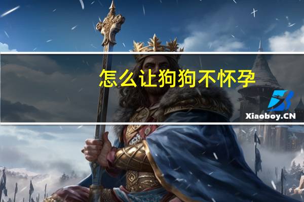 怎么让狗狗不怀孕
