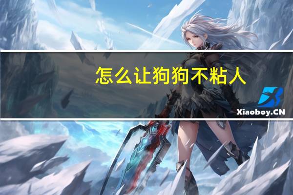 怎么让狗狗不粘人