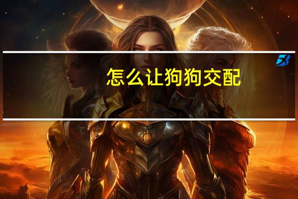 怎么让狗狗交配