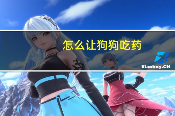 怎么让狗狗吃药