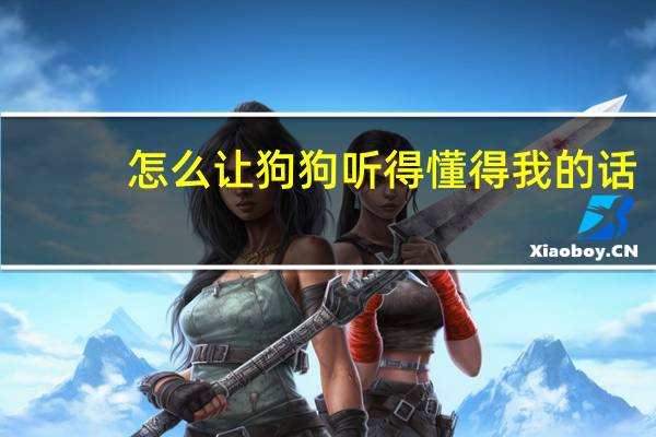 怎么让狗狗听得懂得我的话