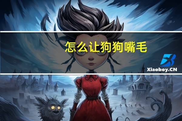 怎么让狗狗嘴毛
