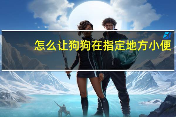怎么让狗狗在指定地方小便