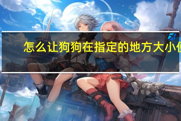 怎么让狗狗在指定的地方大小便
