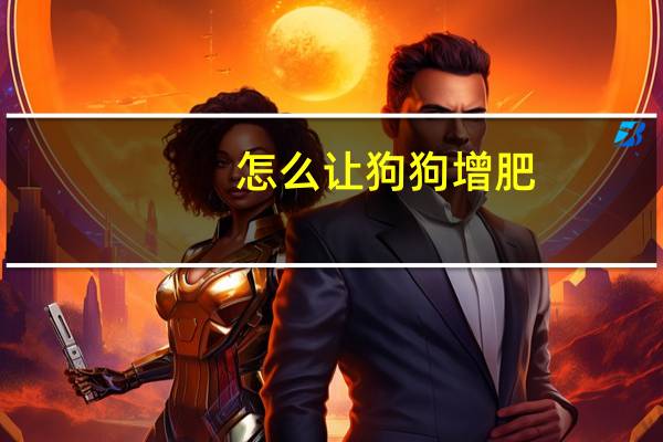 怎么让狗狗增肥