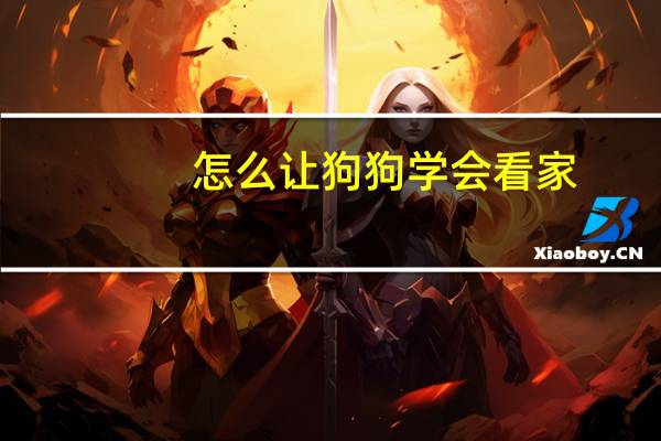 怎么让狗狗学会看家