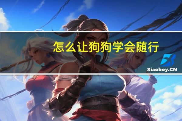 怎么让狗狗学会随行