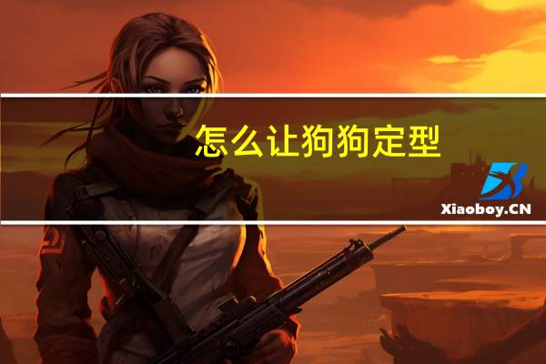 怎么让狗狗定型