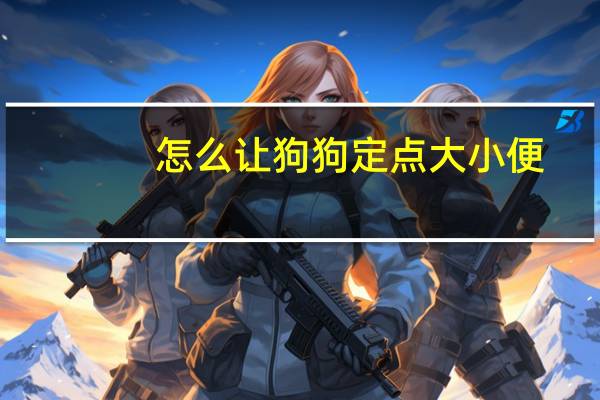 怎么让狗狗定点大小便