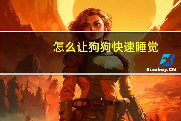 怎么让狗狗快速睡觉