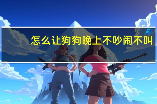怎么让狗狗晚上不吵闹不叫